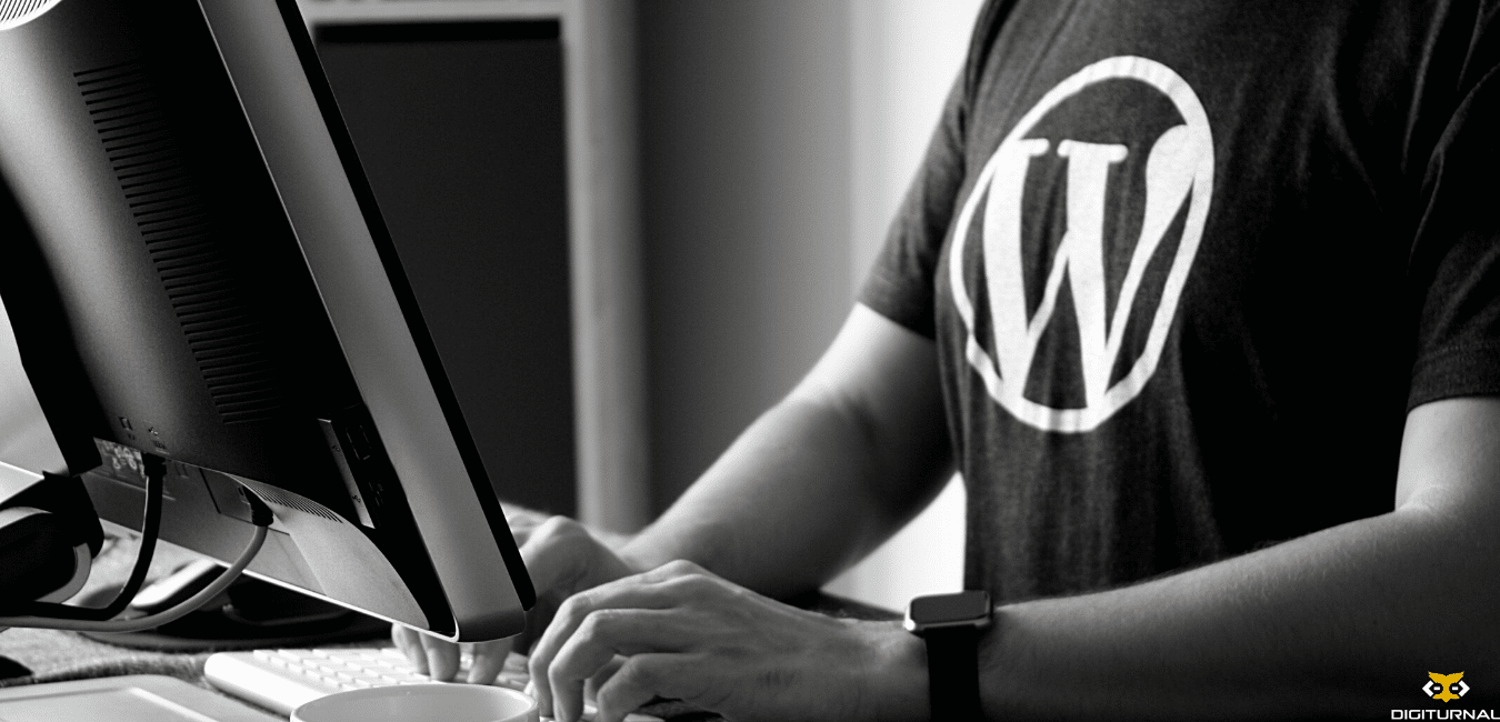 Reasons Why WordPress Is Ideal for businesses